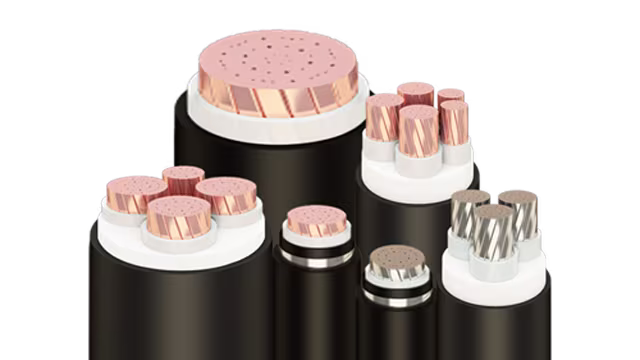 Cáp điện hạ thế CXV/YJV/CXE