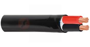 Cáp điện nguồn CVV/BVV-Cu/PVC 2x