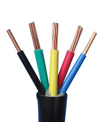 Cáp điện nguồn CVV/BVV-Cu/PVC 5x