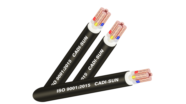 Cáp điện CXV/YJV-Cu/XLPE/PVC 3x+1x