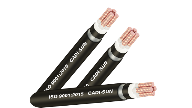 Cáp ngầm CXV/SWA-Cu/XLPE/DSTA/PVC 4x