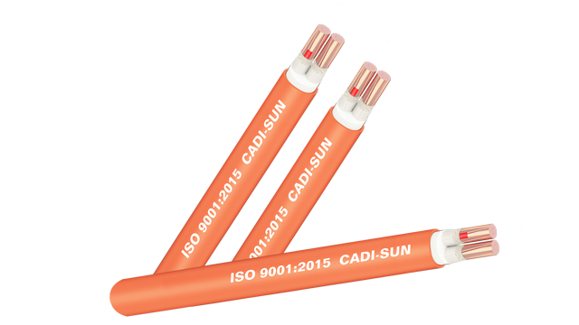 Cáp điện chống cháy CXV/LSHF-Cu/Mica/XLPE/Fr-PVC 2x