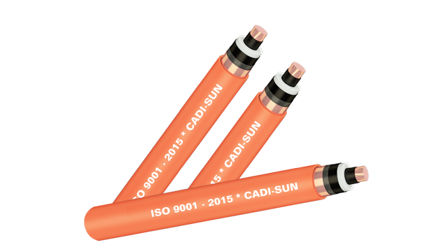 Cáp trung thế 24kV 1x